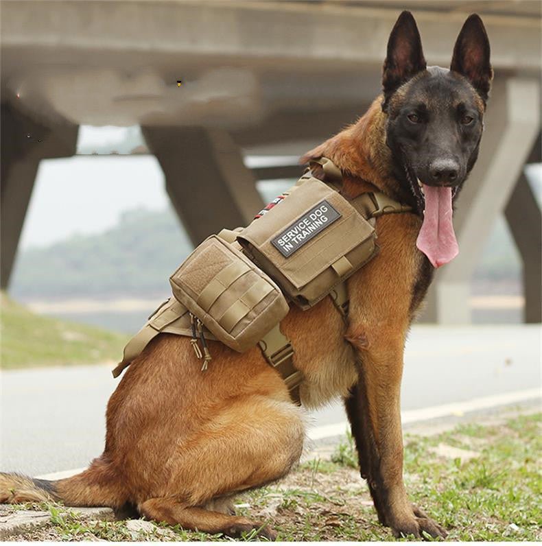 K9 Gear - Black Fox Security Group