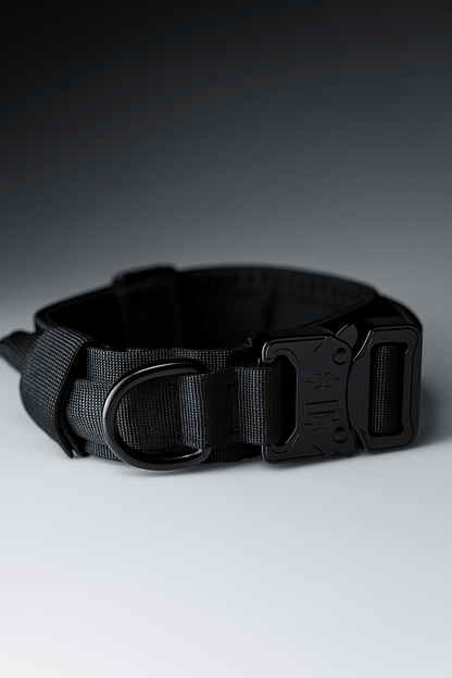 Hussar K9 - Dog Collar - Black Fox Security Group