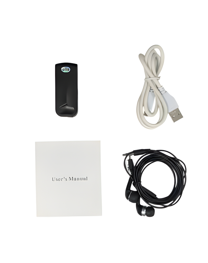 Mini Portable Voice Recorder
