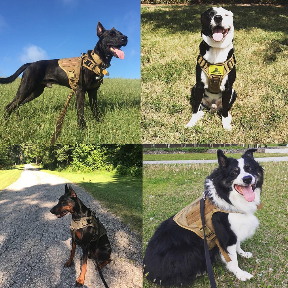Tactical K9 Harness (for larger breeds) - Black Fox Security Group