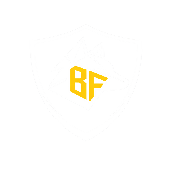 Black Fox Security Group Inc